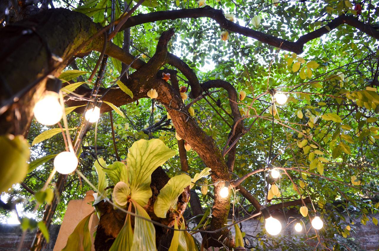 Magic Garden House Hotell Cali Exteriör bild